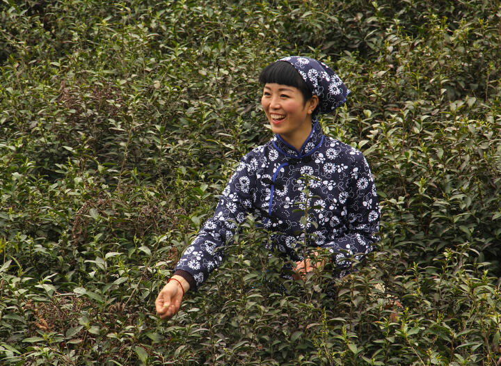 热门8
